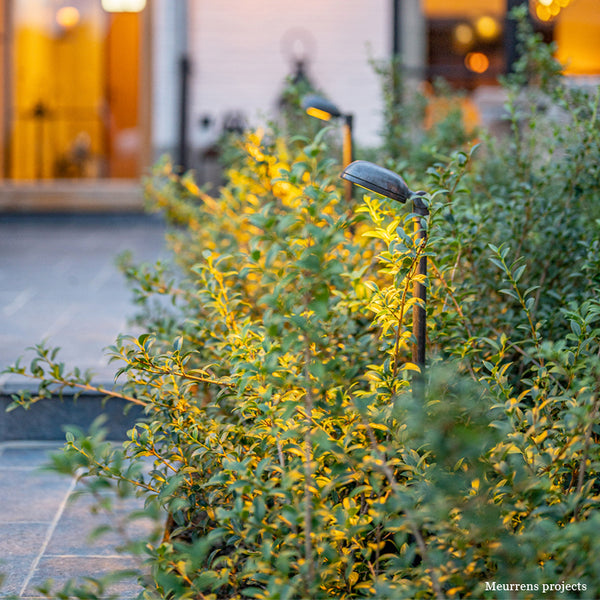 Charmond on base - Authentage