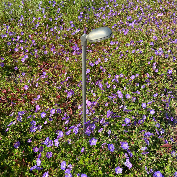 Charmond on driver base - Authentage