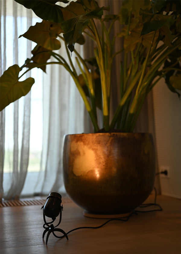 Micro Tripod Indoor - Authentage