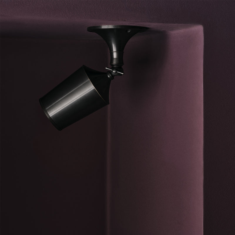 MM. Bacchus spot - Authentage